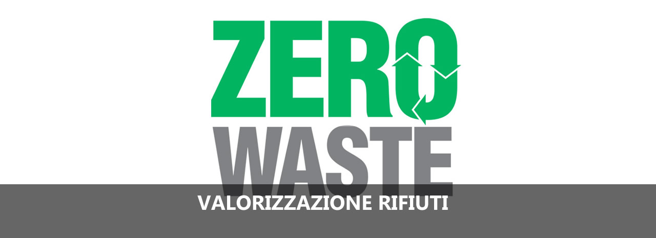 Co-Waste Trattamento rifiuti da energia utile prodotta da CHP